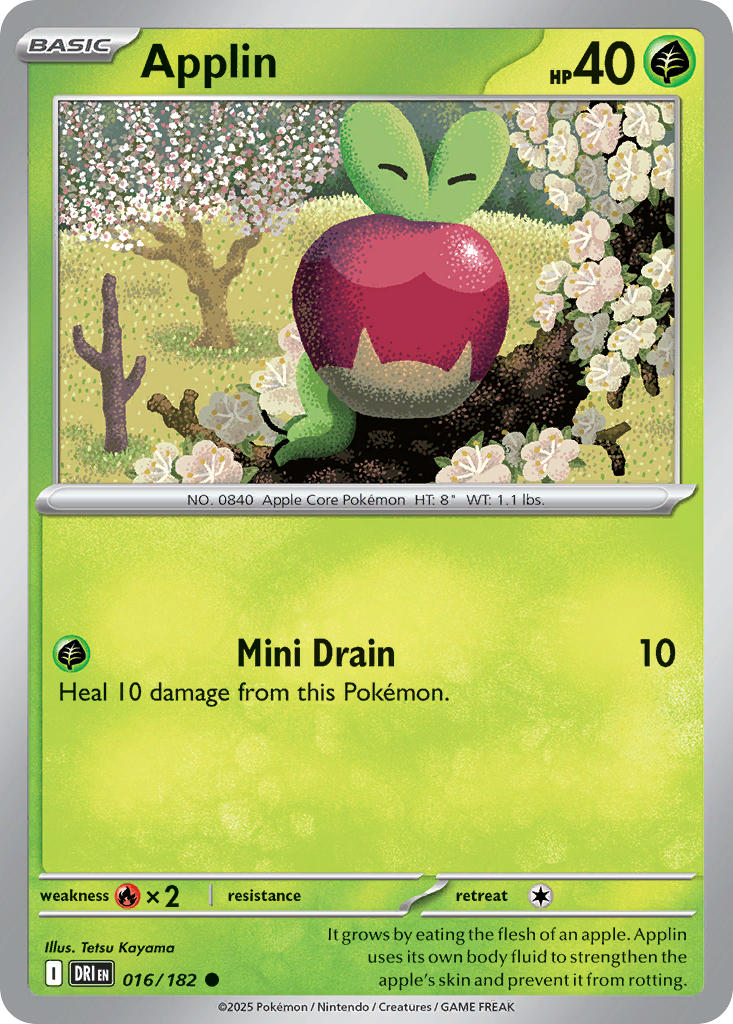 DRI - #016 – NM